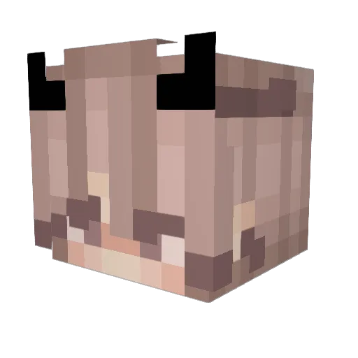 sandraaaaaaaaaa Minecraft avatar head, 3D render