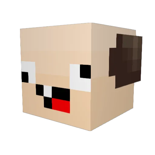 sandroLP123 Minecraft avatar head, 3D render