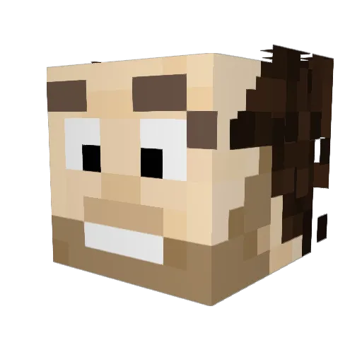 sandro_999 Minecraft avatar head, 3D render