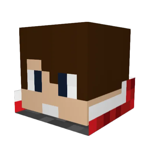 sandroxis Minecraft avatar head, 3D render