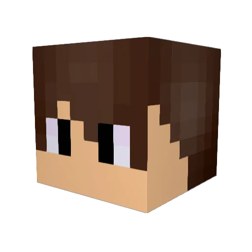 sandtrip Minecraft avatar head, 3D render