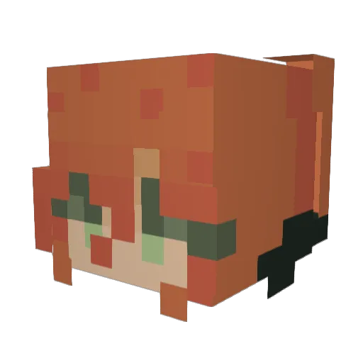 sandwich_eater69 Minecraft avatar head, 3D render
