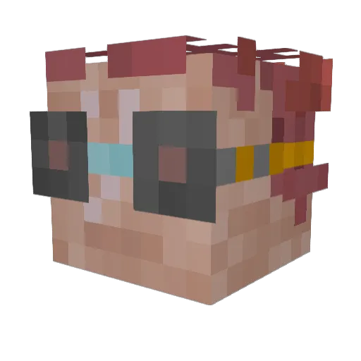 sandwich_man887 Minecraft avatar head, 3D render