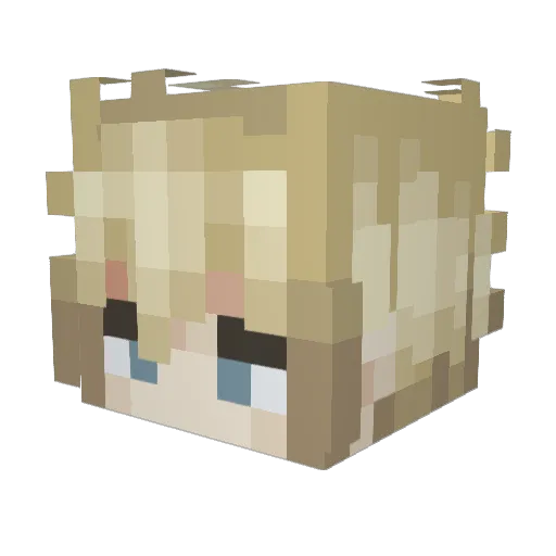 sandwichpuddle Minecraft avatar head, 3D render