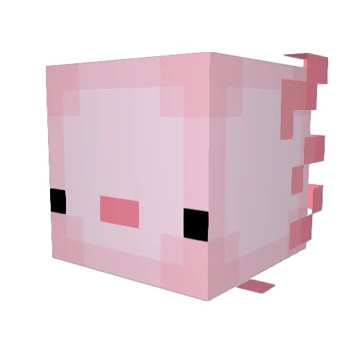 sandyanimates Minecraft avatar head, 3D render