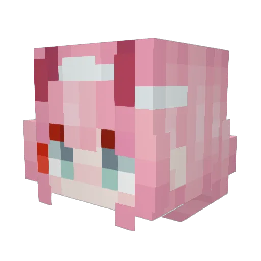 saner111 Minecraft avatar head, 3D render