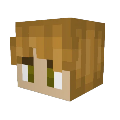 sangeve Minecraft avatar head, 3D render
