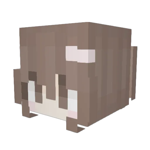 saniety Minecraft avatar head, 3D render