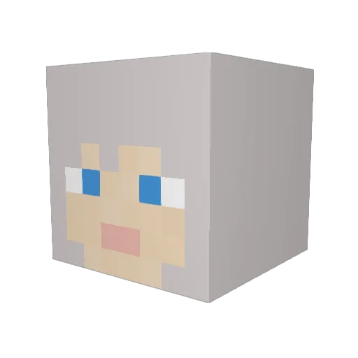 sanikigames Minecraft avatar head, 3D render