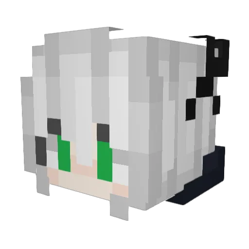 sanitynotfound38 Minecraft avatar head, 3D render