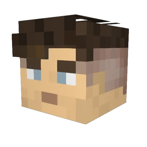 sanjay14 Minecraft avatar head, 3D render