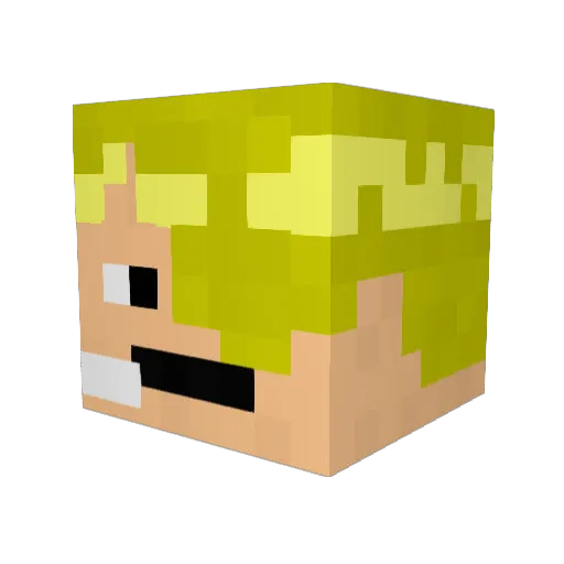 sanjicook08 Minecraft avatar head, 3D render