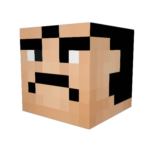 sankagin Minecraft avatar head, 3D render