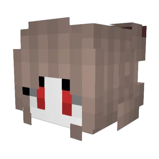 sanmaruni Minecraft avatar head, 3D render