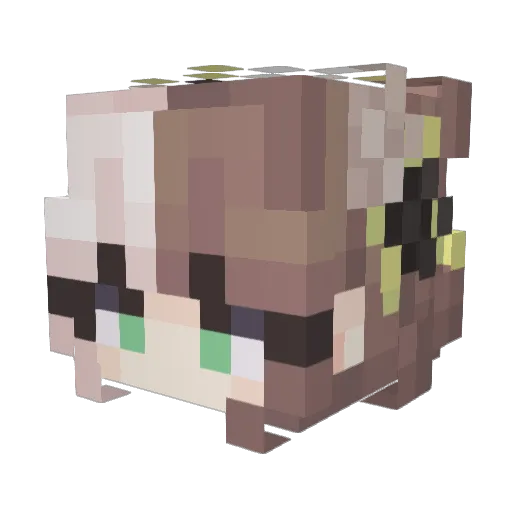 sannalya Minecraft avatar head, 3D render