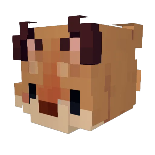 sanpitopedro Minecraft avatar head, 3D render