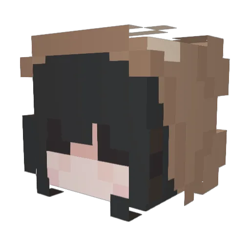 sanriocats Minecraft avatar head, 3D render