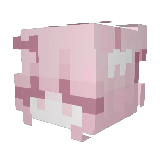 sanripup Minecraft avatar head, 3D render