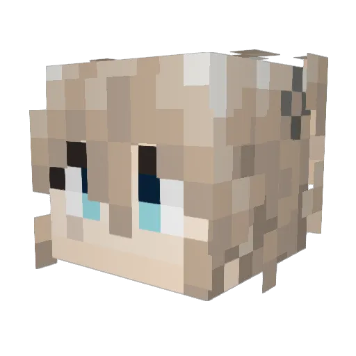sansala Minecraft avatar head, 3D render