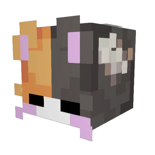sansan_awa Minecraft avatar head, 3D render