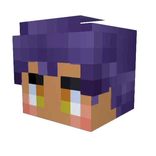 sansasansa Minecraft avatar head, 3D render