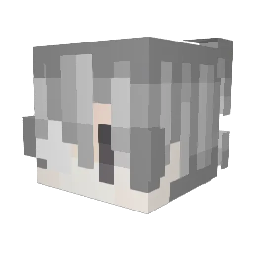 sanshi300 Minecraft avatar head, 3D render