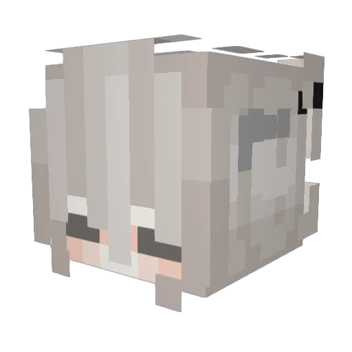 sanss1 Minecraft avatar head, 3D render