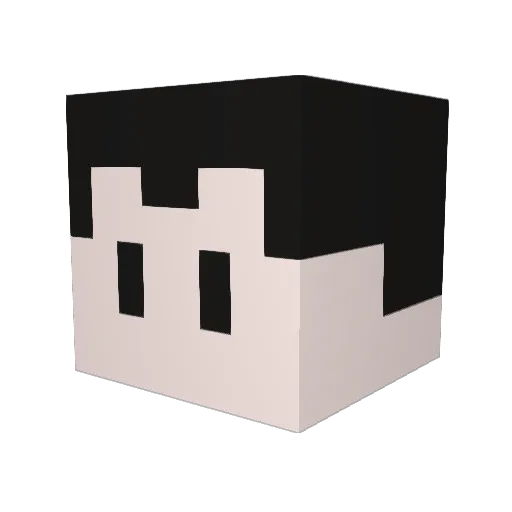 santa3472 Minecraft avatar head, 3D render