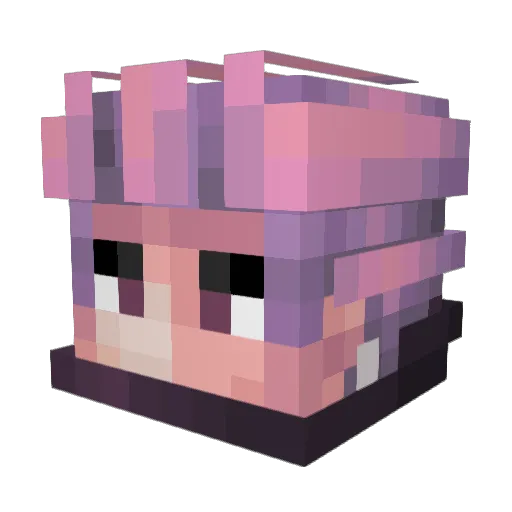 santaboy8591 Minecraft avatar head, 3D render
