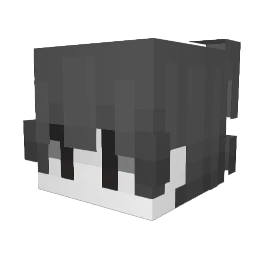 santkunn Minecraft avatar head, 3D render
