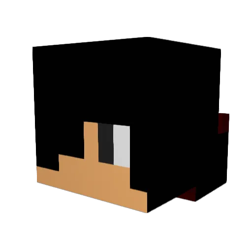 santos9298 Minecraft avatar head, 3D render