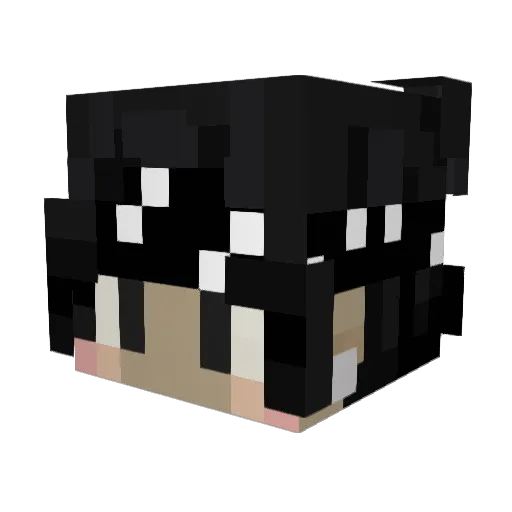 santosdg Minecraft avatar head, 3D render