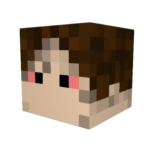 santosdomonte Minecraft avatar head, 3D render
