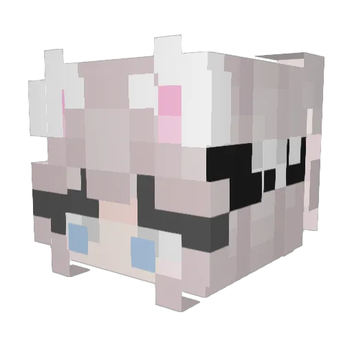 sants111 Minecraft avatar head, 3D render