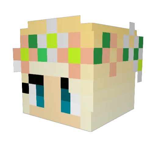 santsa666 Minecraft avatar head, 3D render