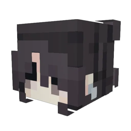 sanukett Minecraft avatar head, 3D render
