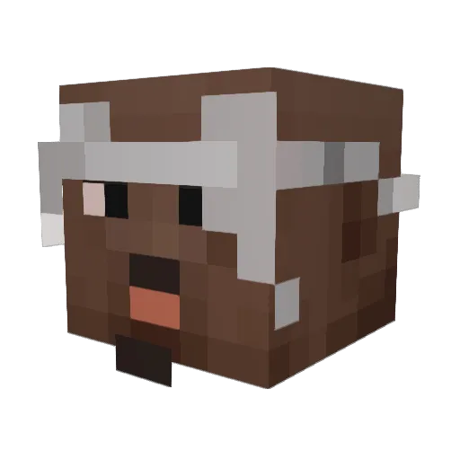 saoz3 Minecraft avatar head, 3D render