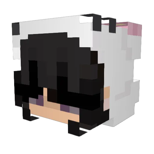 sap9h1re_ Minecraft avatar head, 3D render