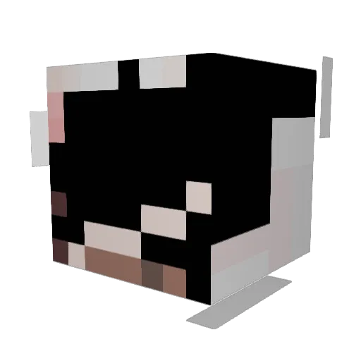 saphara13 Minecraft avatar head, 3D render