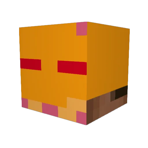 sapisupi Minecraft avatar head, 3D render