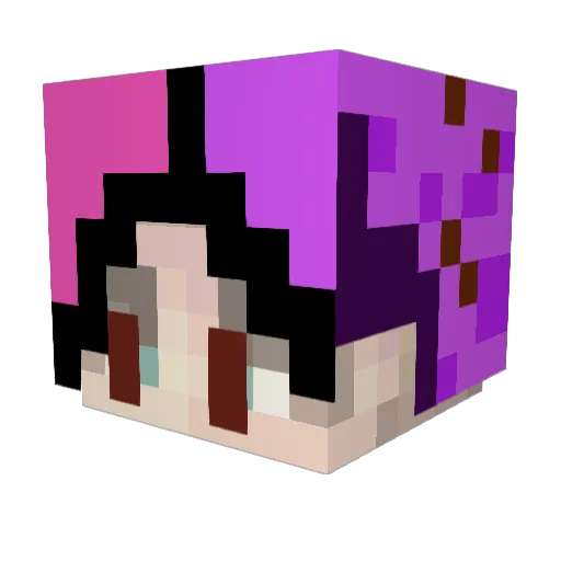 saplingjacobs Minecraft avatar head, 3D render