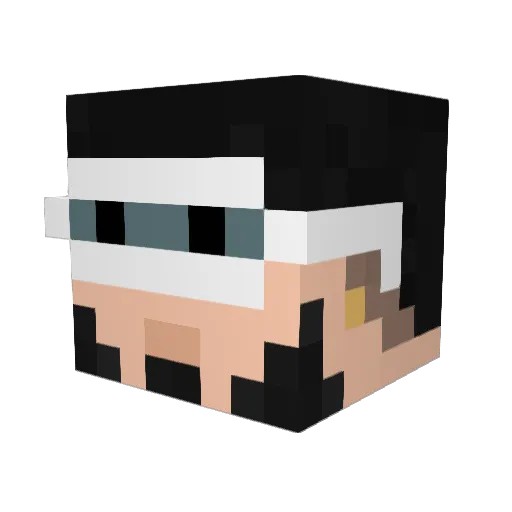 sapoconcho Minecraft avatar head, 3D render
