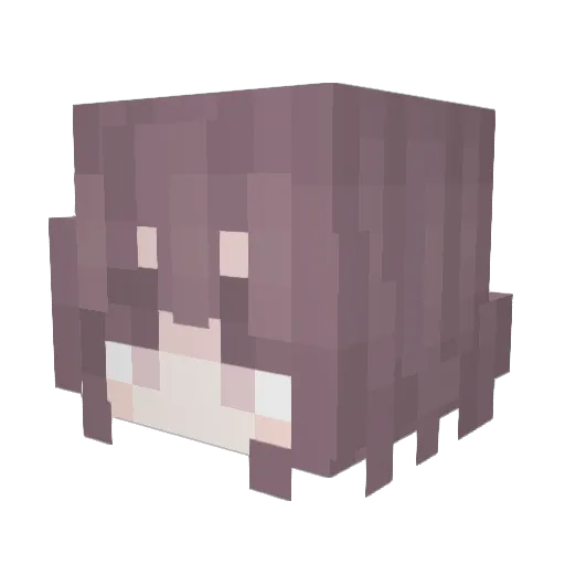 sappyshark Minecraft avatar head, 3D render