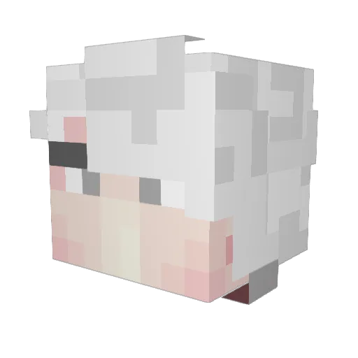 sapsanX2 Minecraft avatar head, 3D render