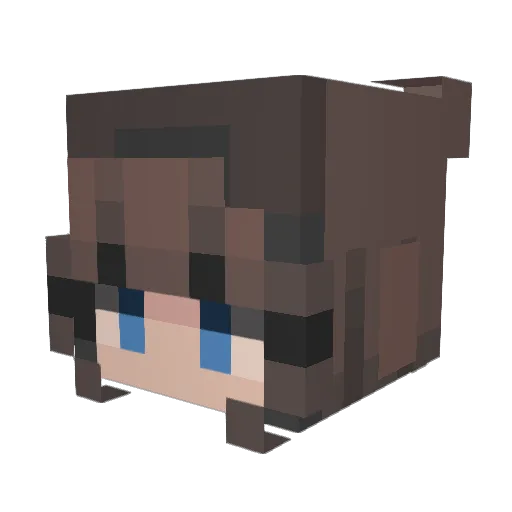 sar6sh Minecraft avatar head, 3D render