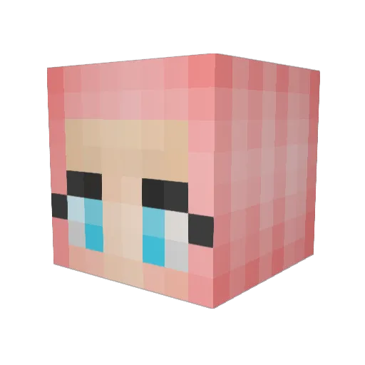 sara7 Minecraft avatar head, 3D render