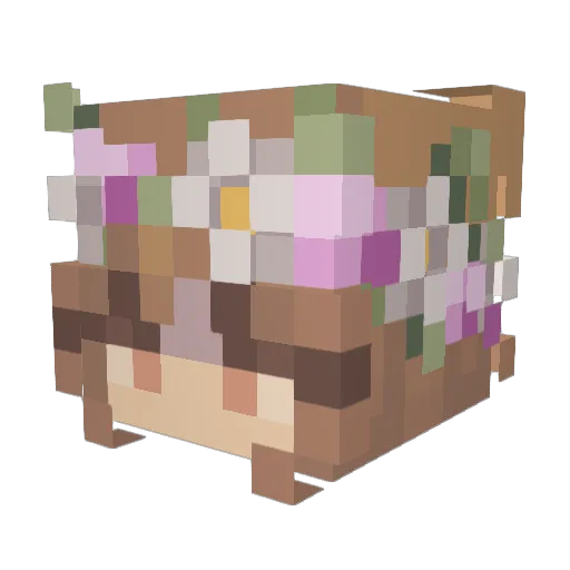 saraMare Minecraft avatar head, 3D render