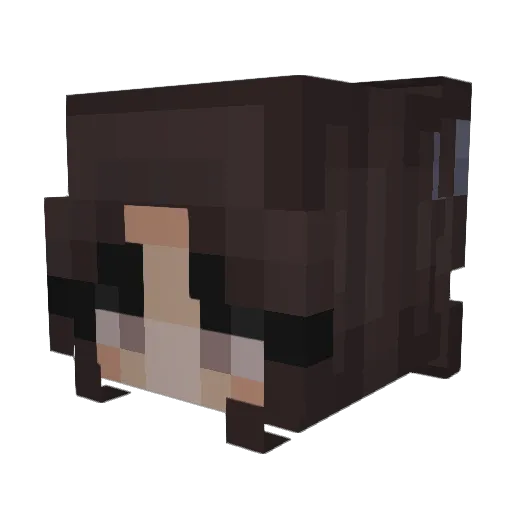 sara_cat257 Minecraft avatar head, 3D render