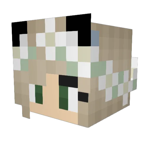 saragamer2006 Minecraft avatar head, 3D render