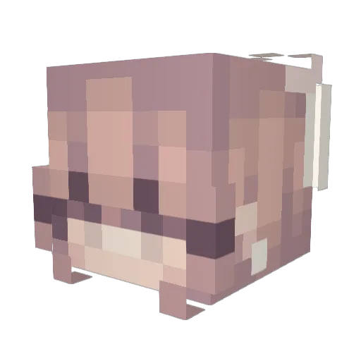 sarah2oo8 Minecraft avatar head, 3D render